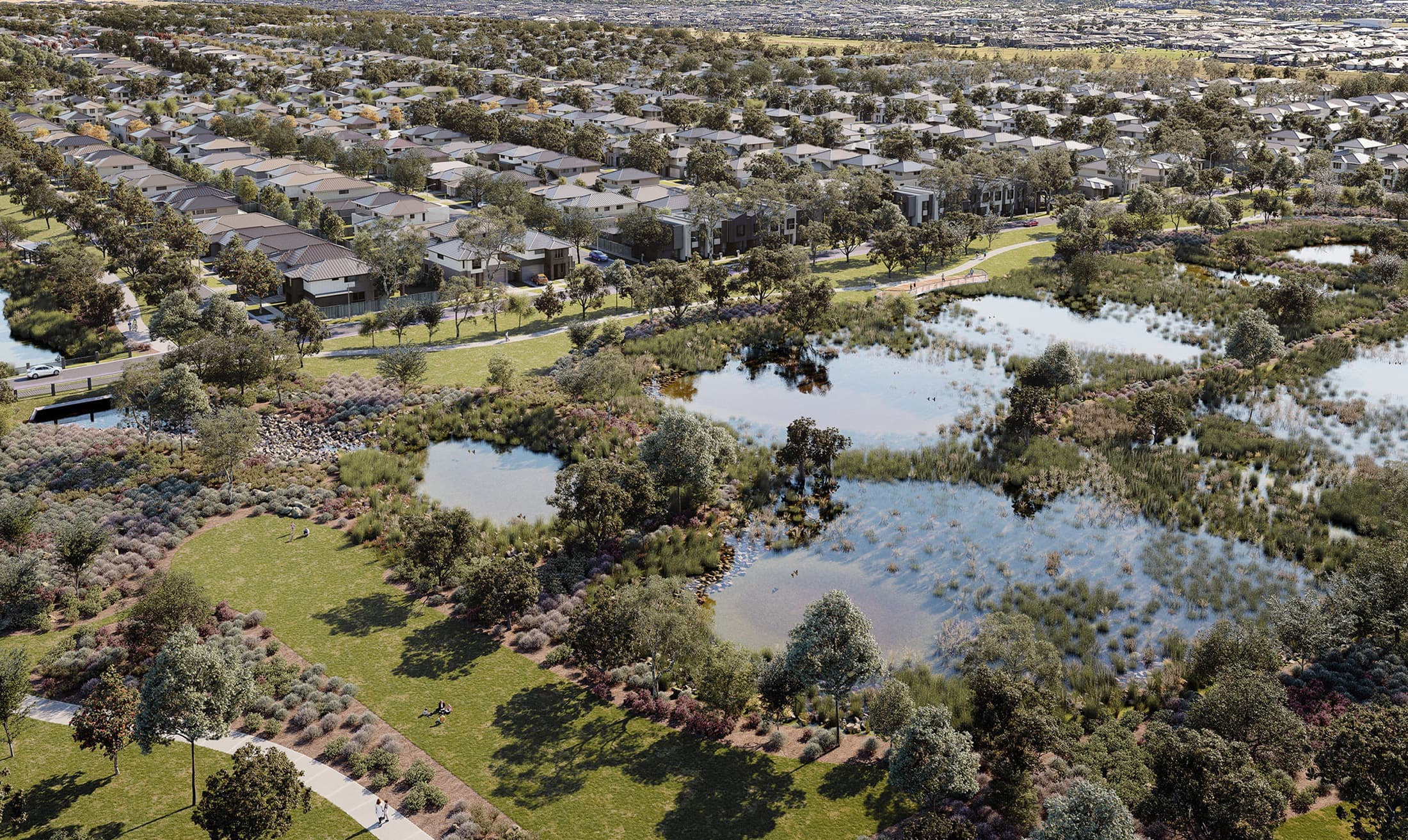Wetlands Arial